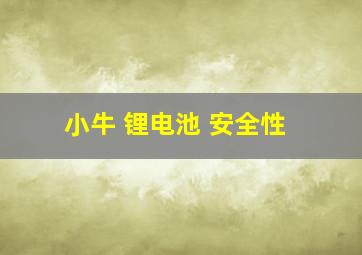 小牛 锂电池 安全性